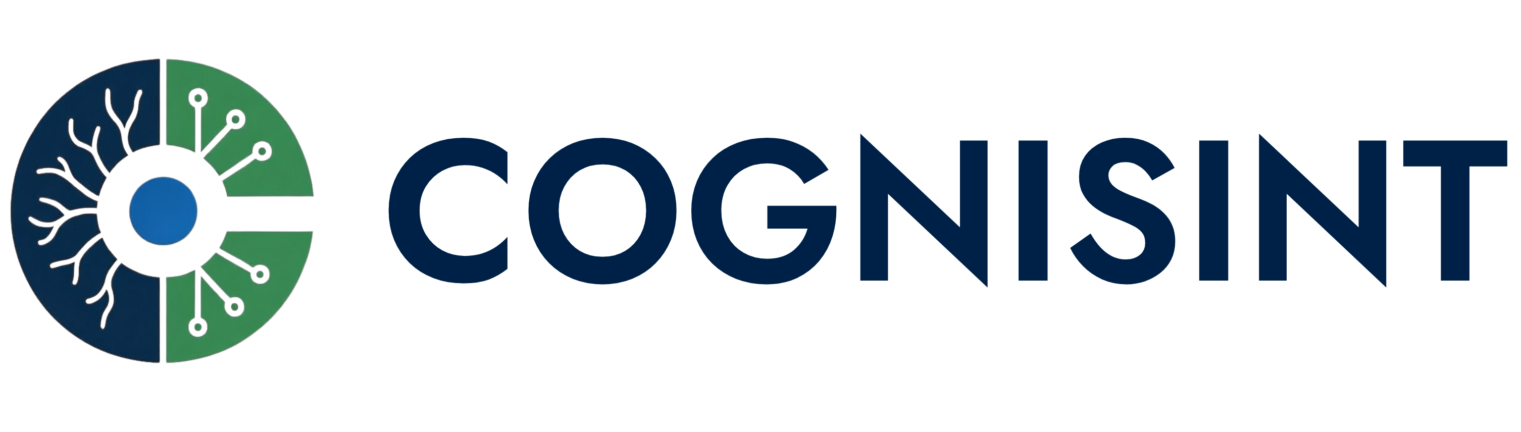 Cognisint LLC